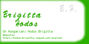 brigitta hodos business card